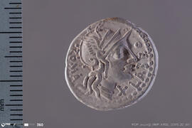 Denarius