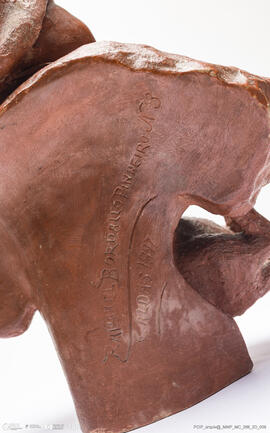 Busto Rapaz com o Gato