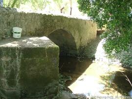 Fotografia 005