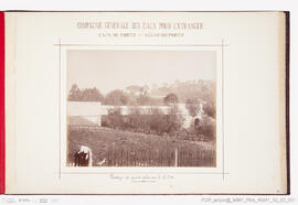 Álbum fotográfico - Álbum de fotografias de Águas do Porto