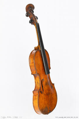 Violino