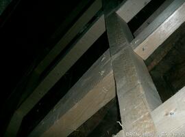 Fotografia 011