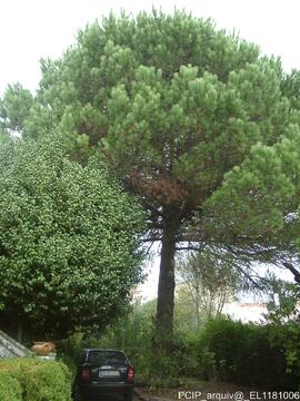 Fotografia do exterior do imovel