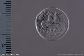 Denarius