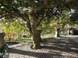 Jardim