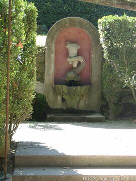 Fotografia 014