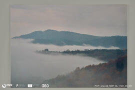 Paisagem com nevoeiro