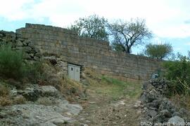 Fotografia 007