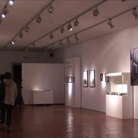 Registo videográfico
