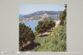 Paisagem do Douro - Pala