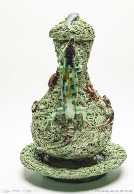 Jarro musgado Lagarto