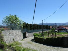 Fotografia 008