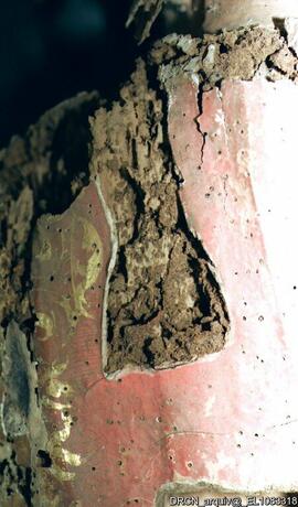 Estado de conservação