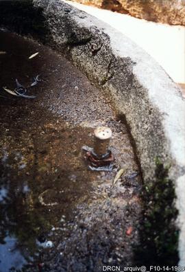 Fotografia 007
