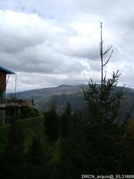 Fotografia 011