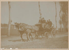 Álbum fotográfico - Passeios no Campo; saltos a cavalo; etc