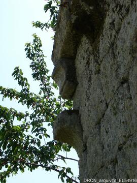 Fotografia 003