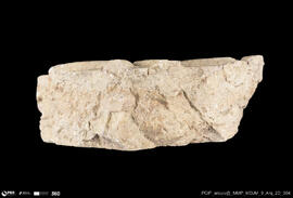 Pedra decorada (fragmento)