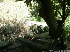 Fotografia 008