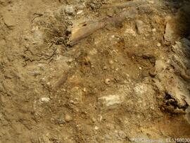 Sondagens  arqueológicas