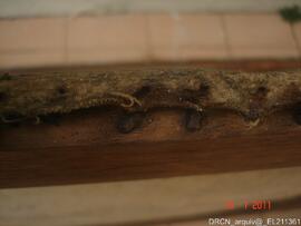 Fotografia 012