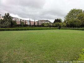 Jardim