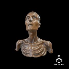 Busto de Homem