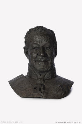 Cabeça do Conde de Ferreira
