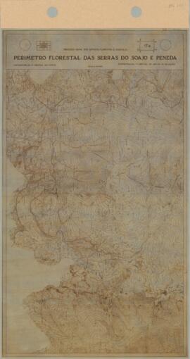 Perímetro Florestal - 17A [s.d.]