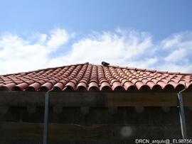 Fotografia 003