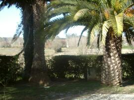 Fotografia do imovel: interior e exterior