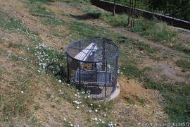 Processo de Licenciamento - Arquivo de Imóvel DRP-12168