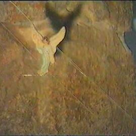 Registo videográfico