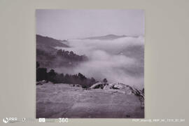 Alto Douro. Nevoeiro