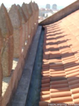 Fotografia 007