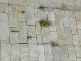 Fotografia (exterior)