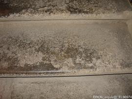 Fotografia 004