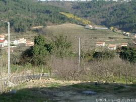 Fotografia 006
