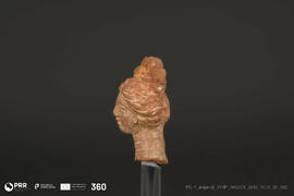 Pequena cabeça (Doação Bühler-Brockhaus)