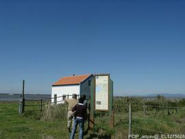Fotografia 001