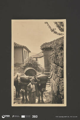 Criança conduzindo carro de bois em Barrô