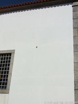 Fotografia 006