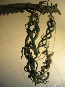Fotografia 059