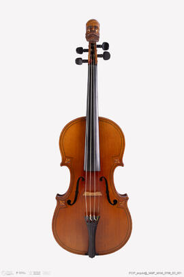 Violino