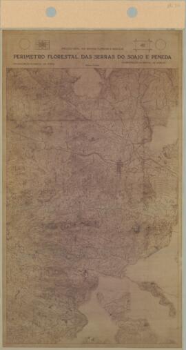 Perímetro Florestal - 4D [s.d.]