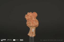 Pequena cabeça (Doação Bühler-Brockhaus)