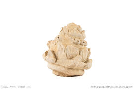 Fragmento alcachofra