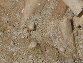 Sondagens  arqueológicas