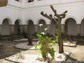 Claustro