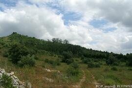 Fotografia do imovel e area envolvente